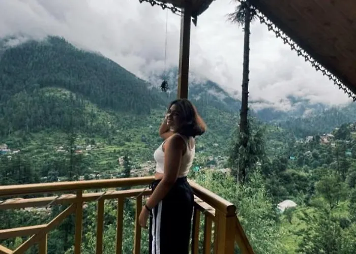 Jibhi Mountain Retreat 2